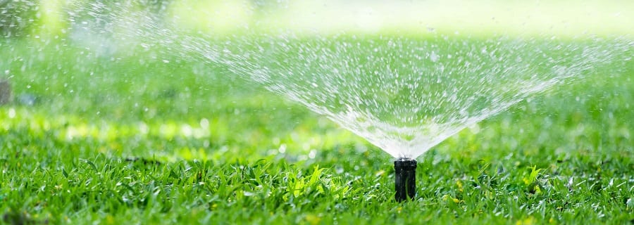 Watering Your Lawn