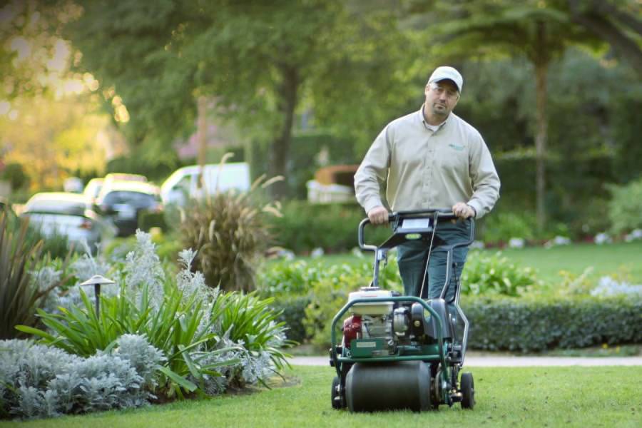 Lawn Aeration: Let Your Lawn Grass Work