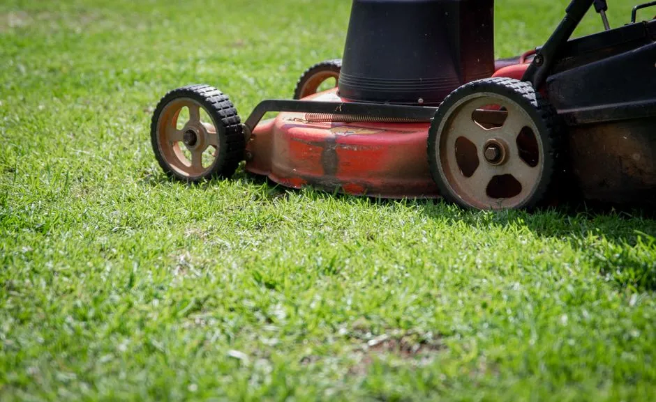 Complete Lawn Mower Buyer's Guide