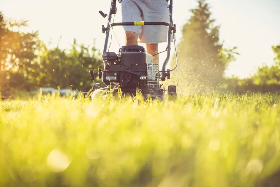 How to use a lawn mower properly