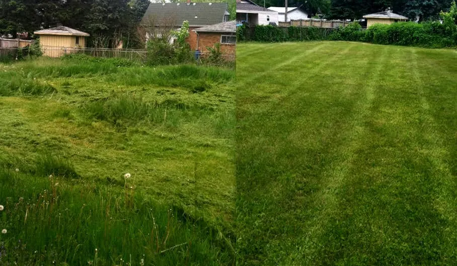 How To Keep Your Lawn Green After Mowing