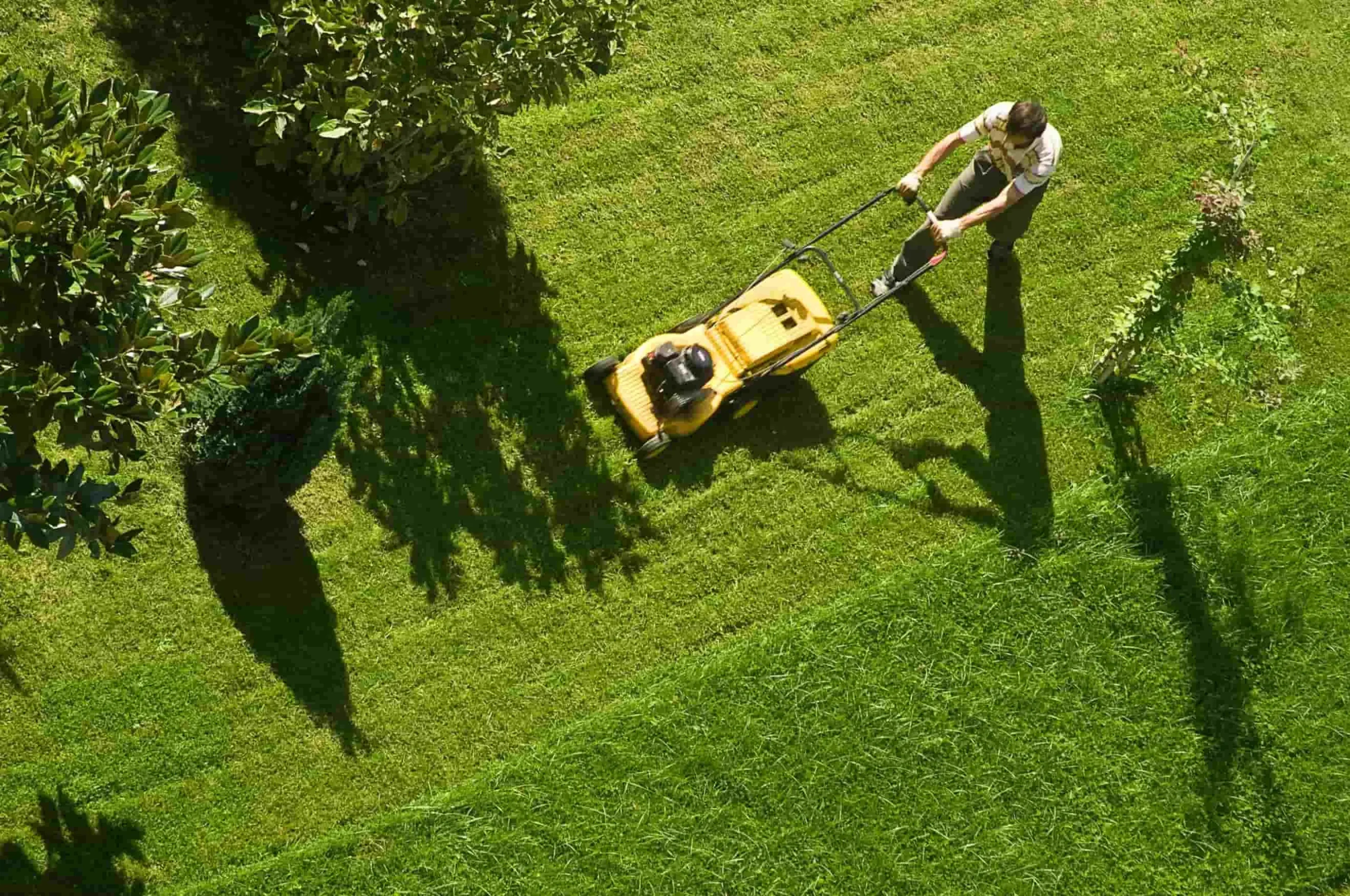 How To Keep Your Lawn Green After Mowing