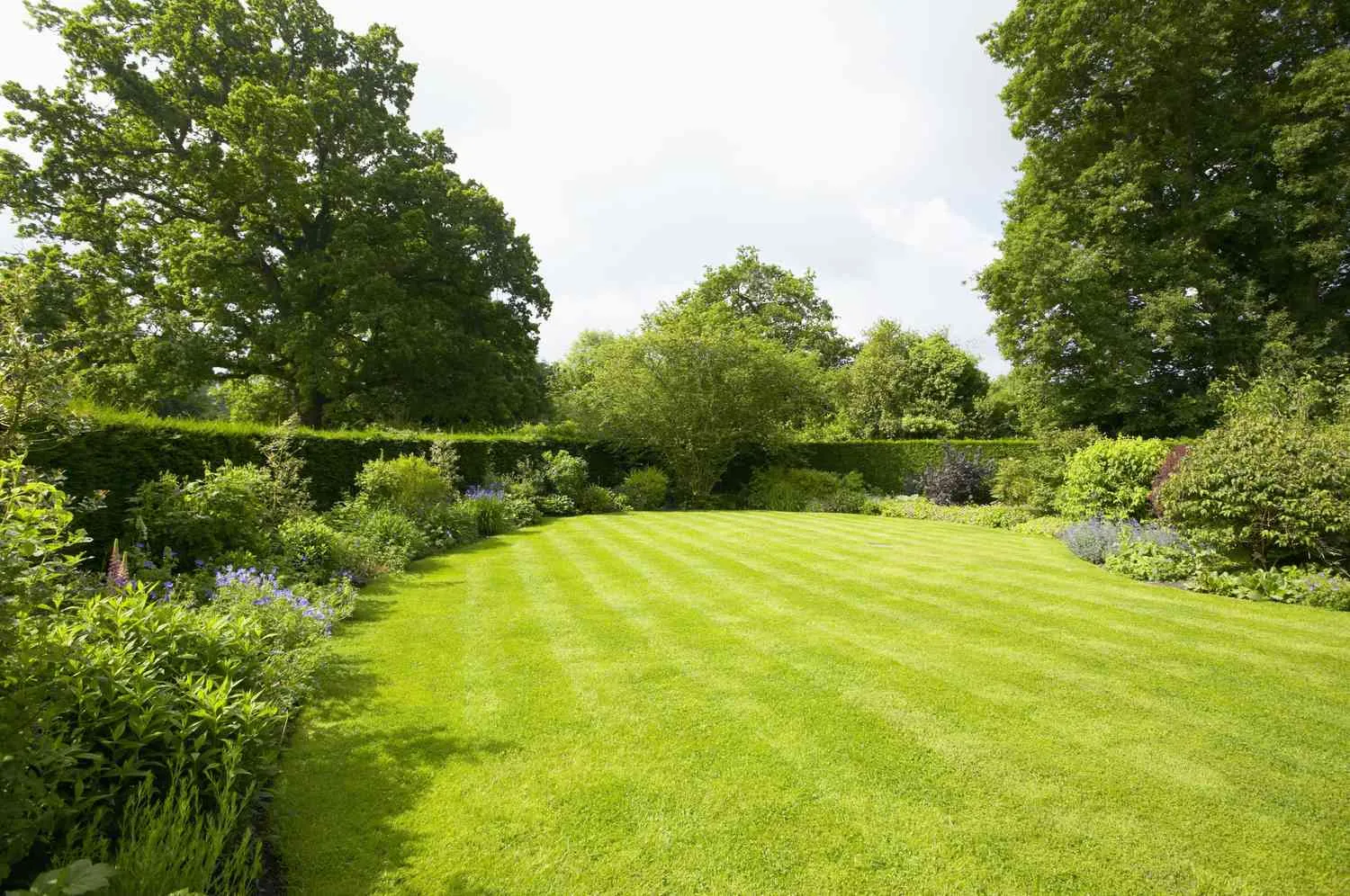 What Helps Create A Healthy Green Lawn