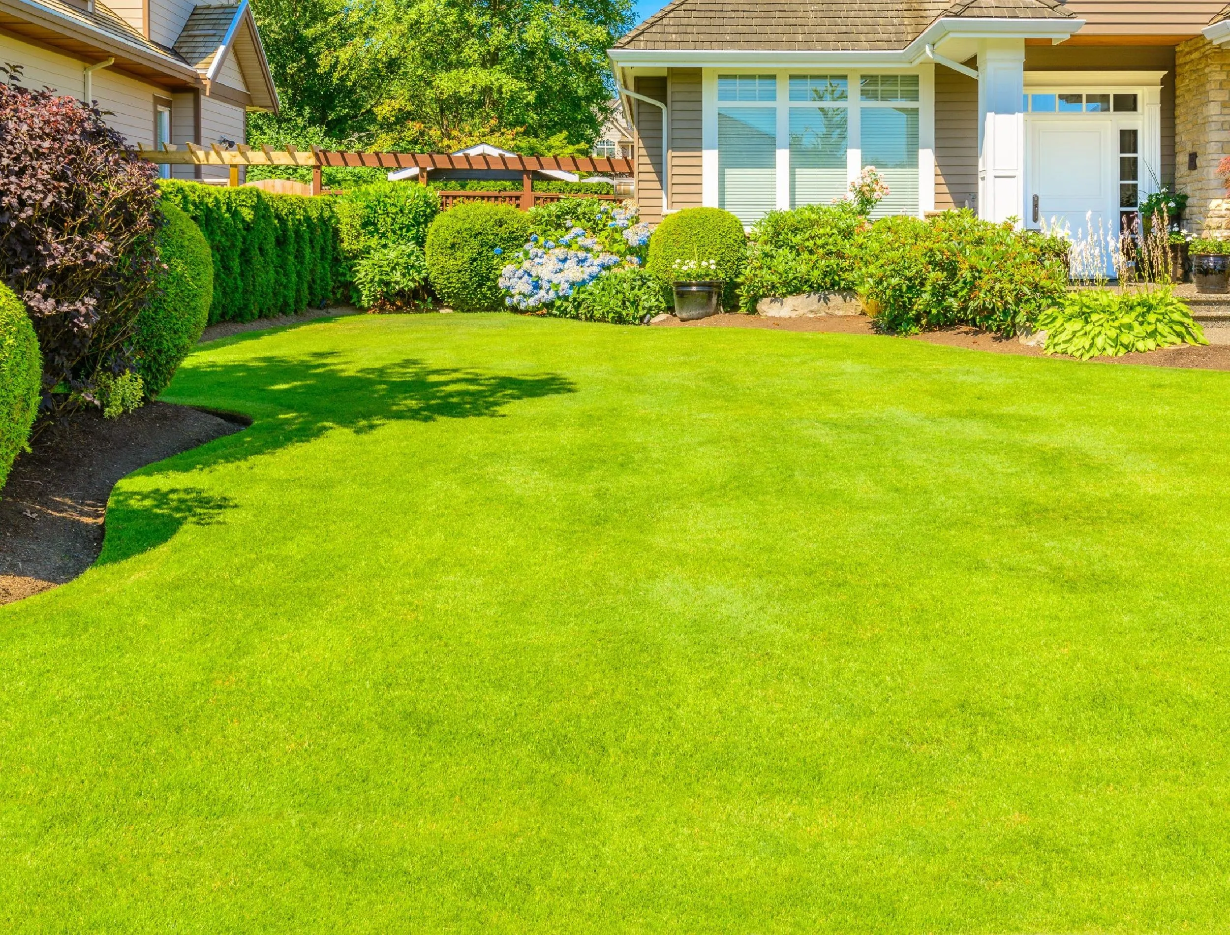 What Helps Create A Healthy Green Lawn