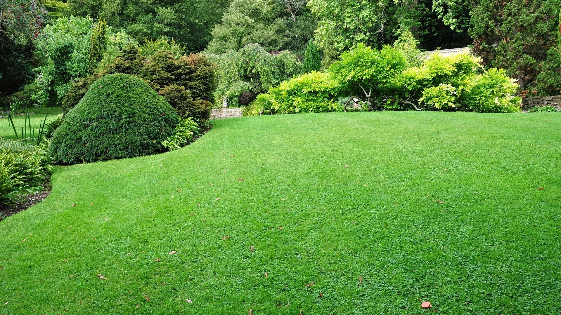 What Helps Create A Healthy Green Lawn