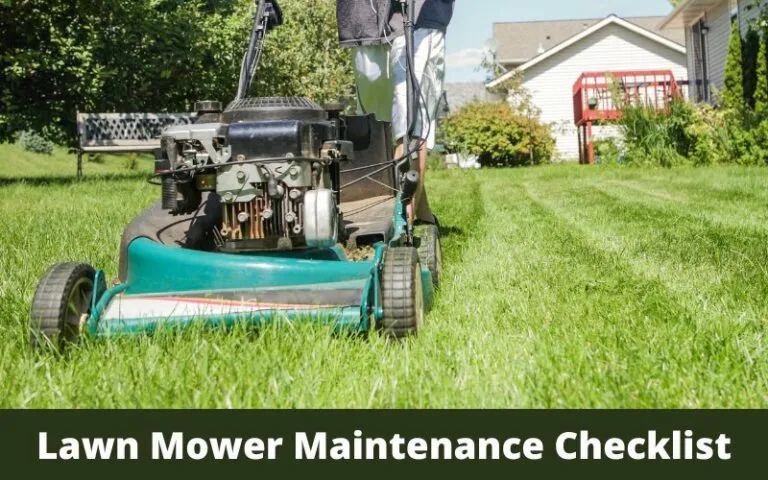 What Are Common Lawn Mower Maintenance Tips