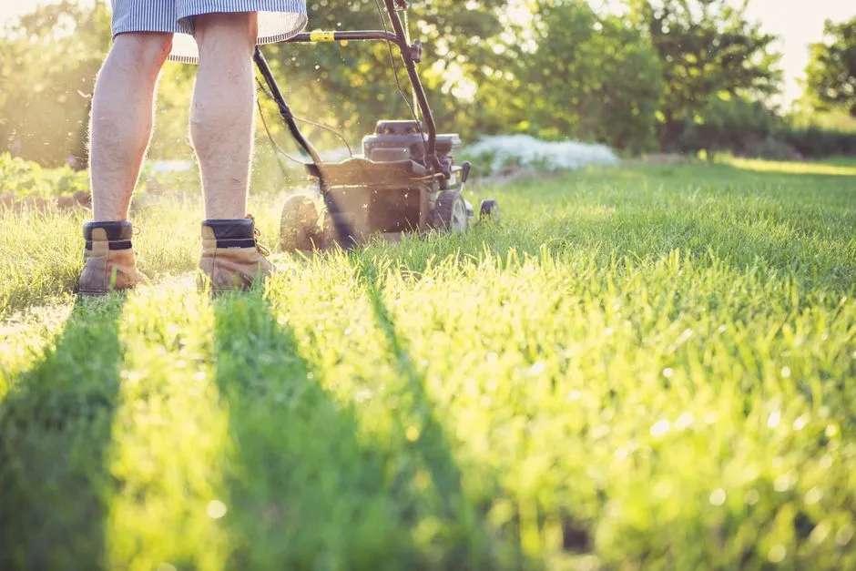 What Is The Best Lawn Mowing Method