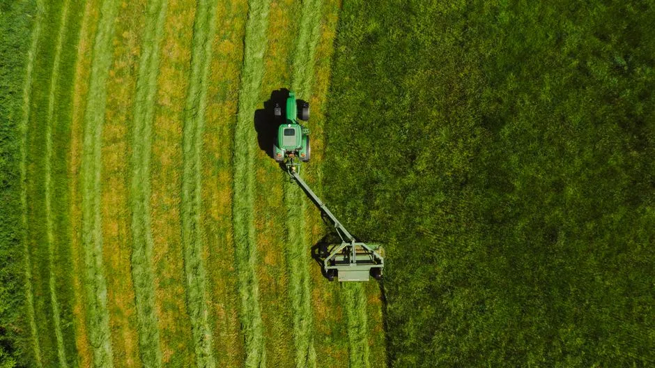 What Is The Best Lawn Mowing Method