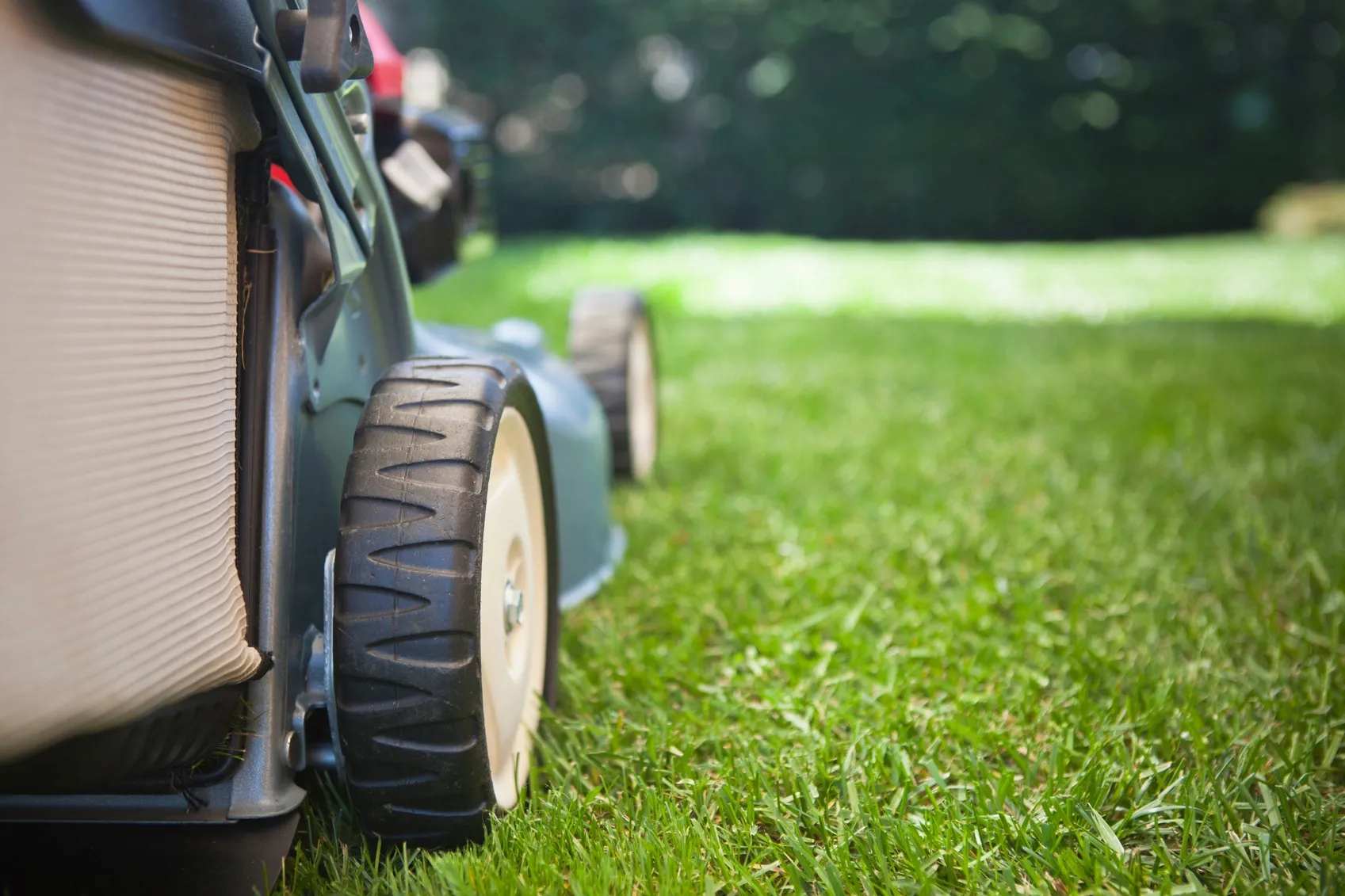 What Causes Lawn Mowing Problems And Solutions
