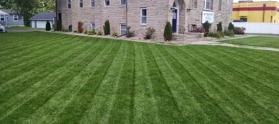 How To Get Perfect Lawn Mowing Results