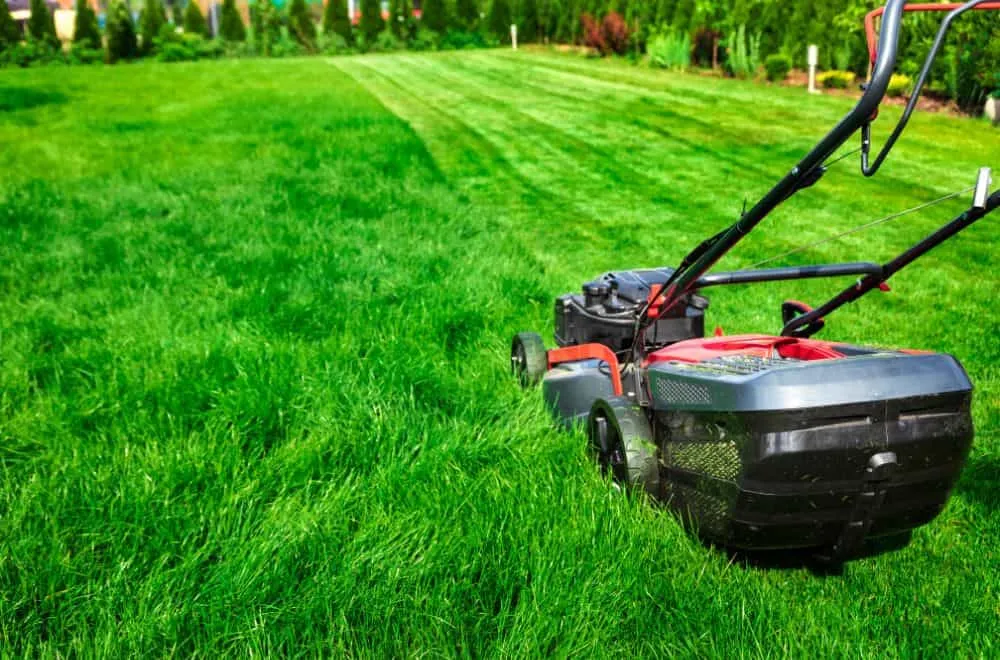 How To Cut Grass Without Damaging Your Lawn