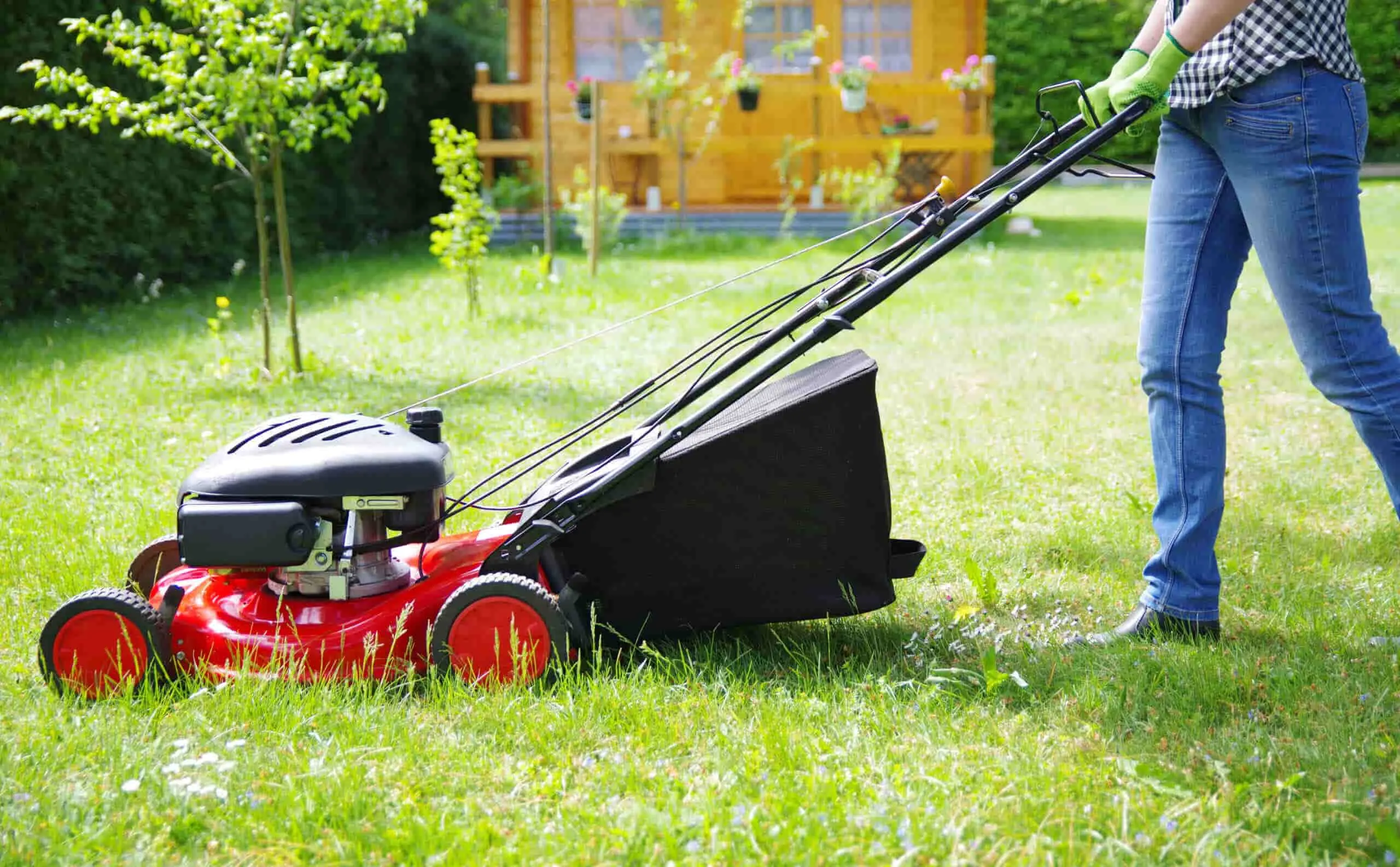 How To Cut Grass Without Damaging Your Lawn