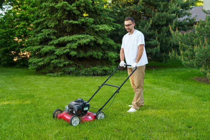 How To Use A Lawn Mower Correctly