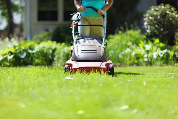 How To Use A Lawn Mower Correctly