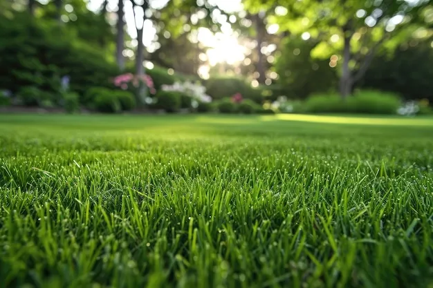How To Keep Your Lawn Green After Mowing