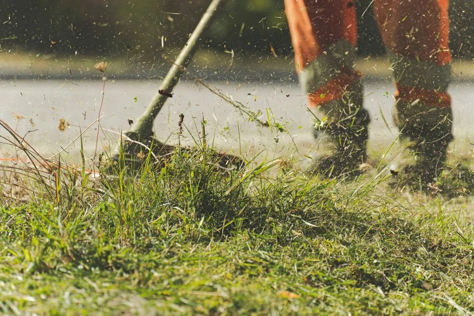 How To Mow Your Lawn For Better Results