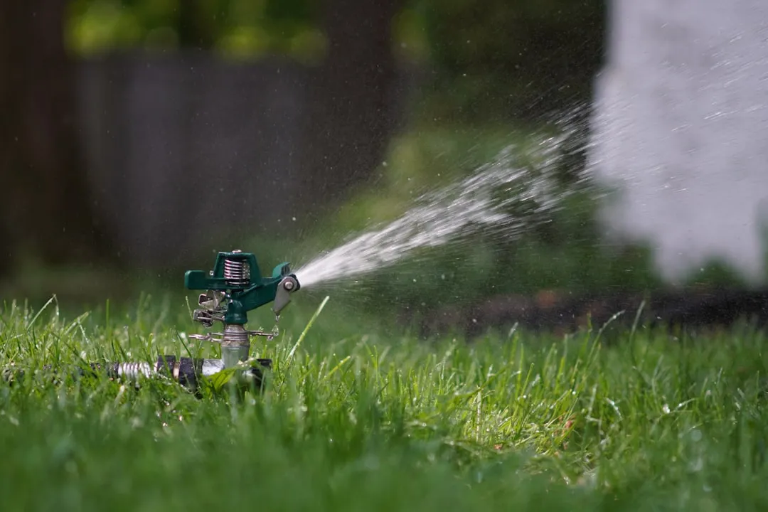 how to care for your lawn