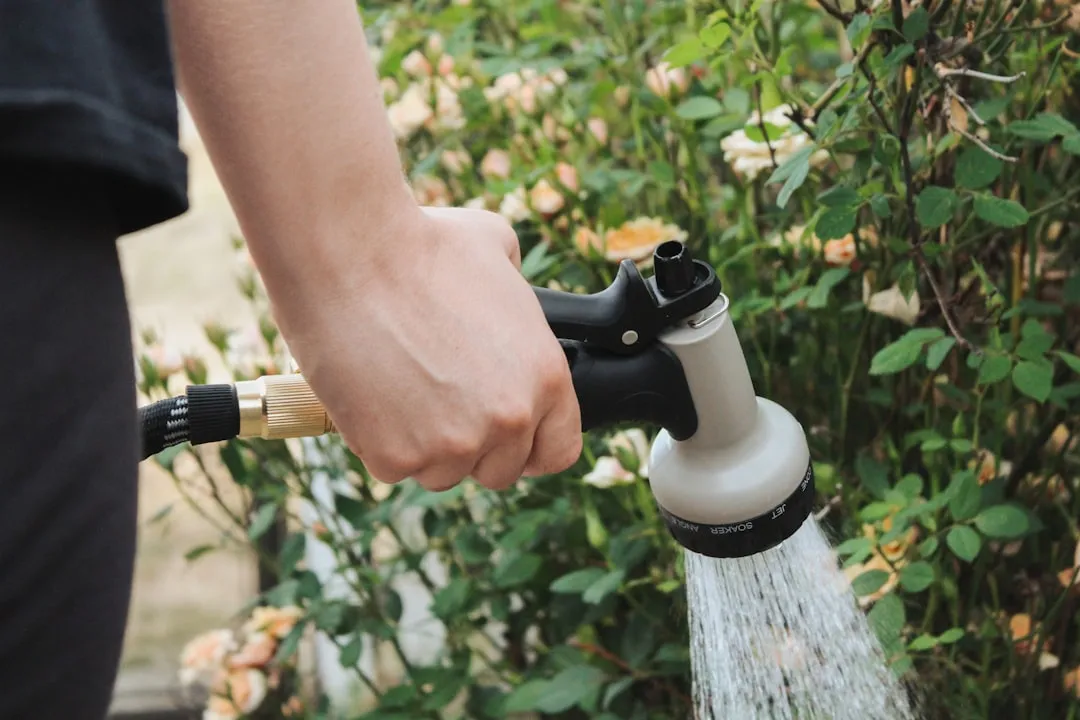 how to care for your lawn