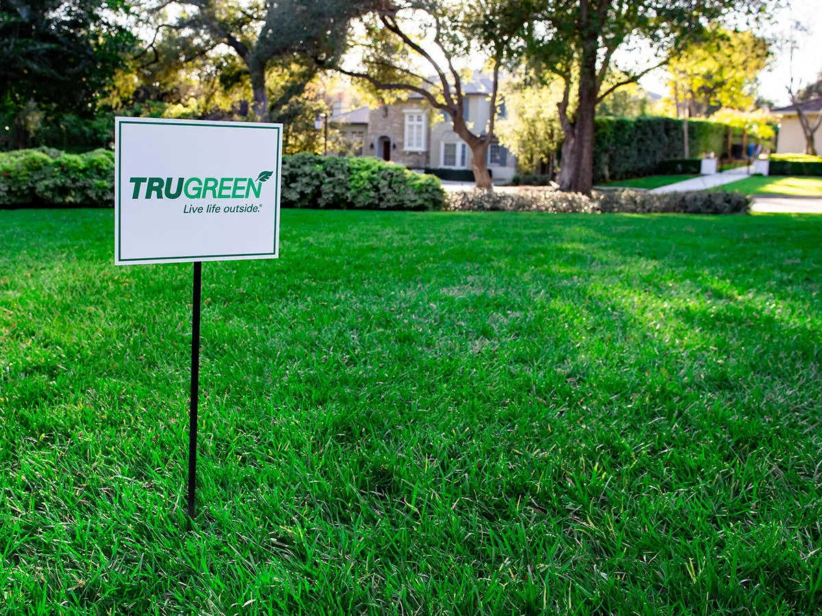 is trugreen lawn care worth it