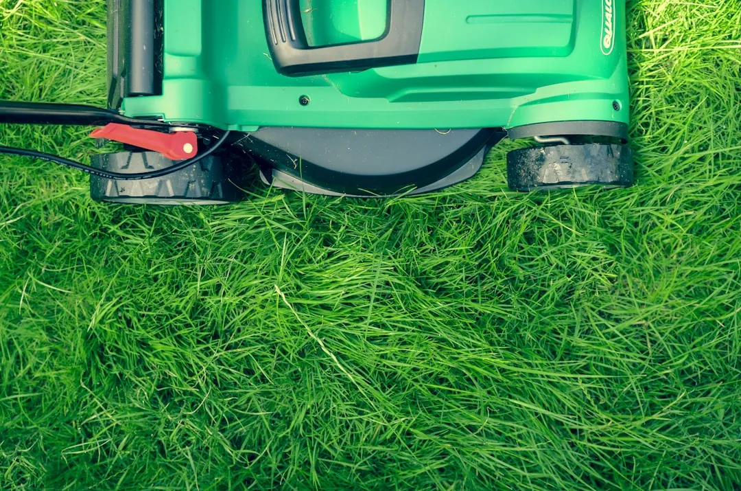do it yourself lawn care schedule