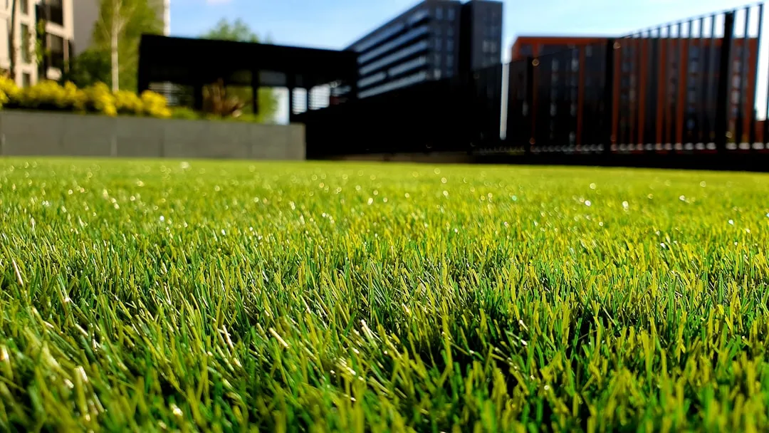 do it yourself lawn care