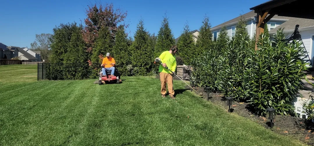 do it yourself lawn care