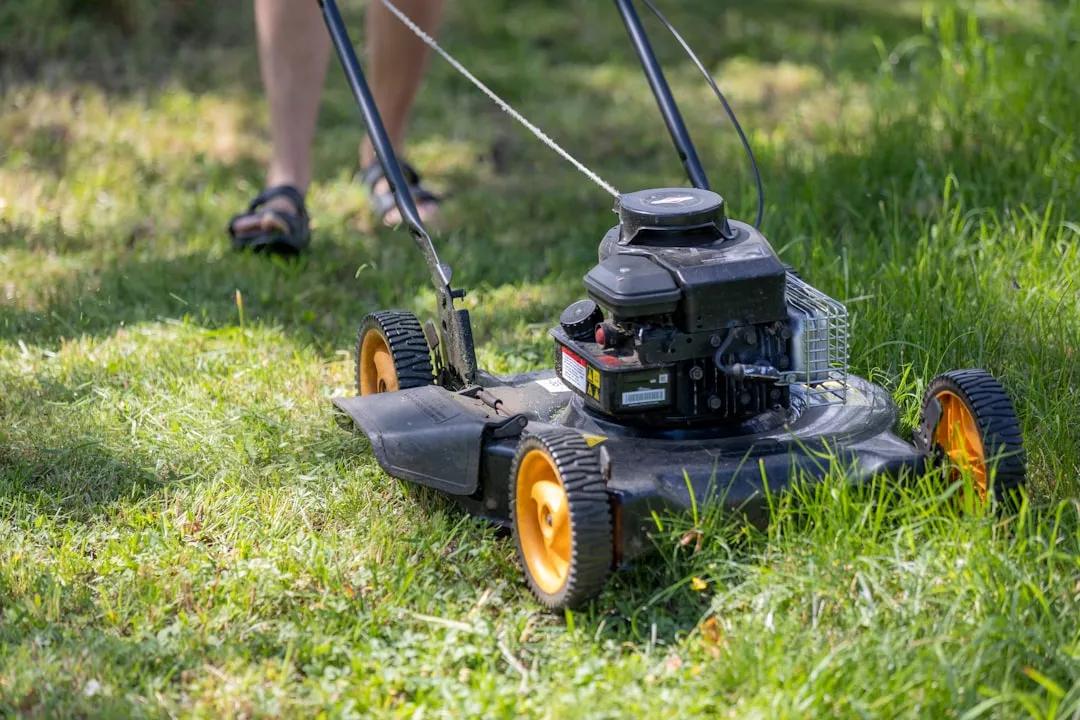 how much does lawn care cost
