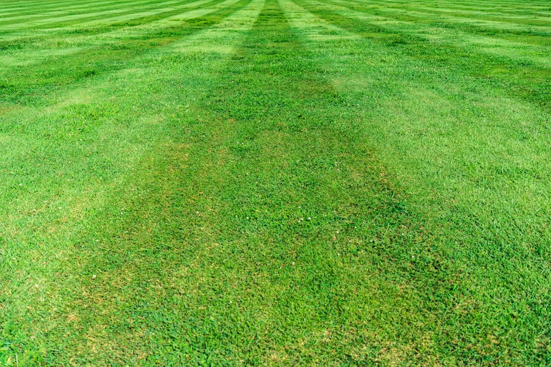 lawn care pre-emergent weed control