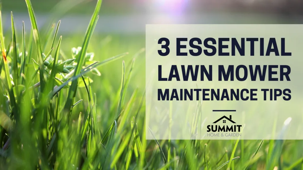 how to take care of a lawn