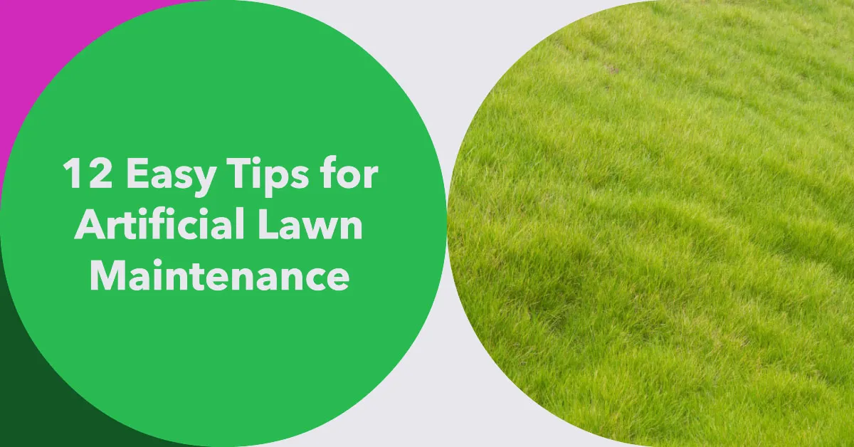 how to take care of a lawn