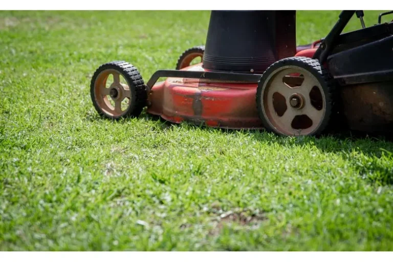 How to Use a Lawn Mower Properly