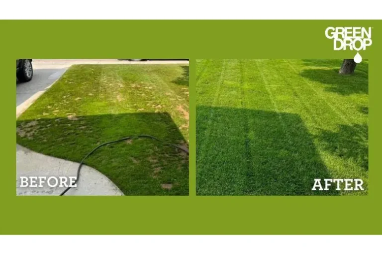 How to Keep Your Lawn Green After Mowing