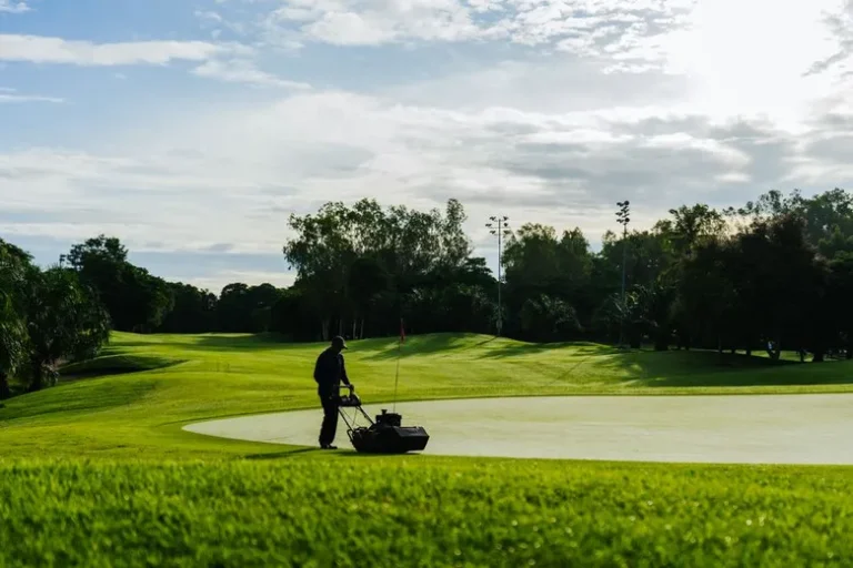 What is the Best Lawn Mowing Method