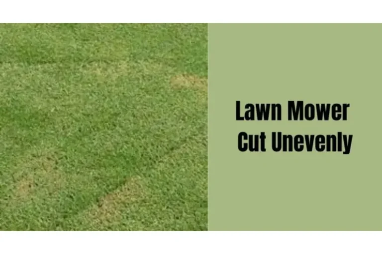 What Causes Lawn Mowing Problems and Solutions