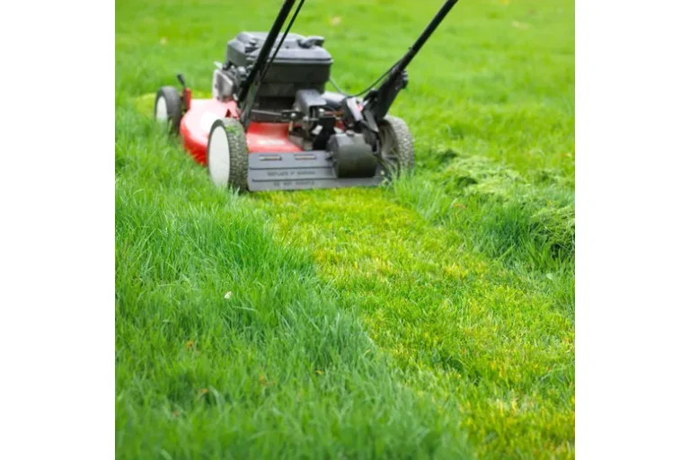What Makes a Lawn Mower Work Better