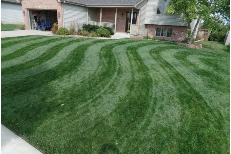How to Mow Grass Like a Professional