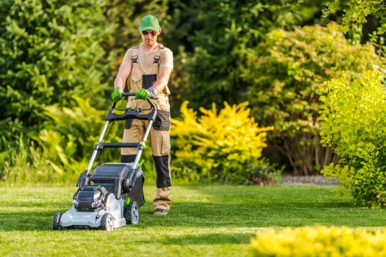 How to Cut Grass Without Damaging Your Lawn