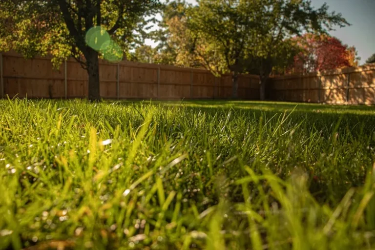 Pet Safe Lawn Care Products