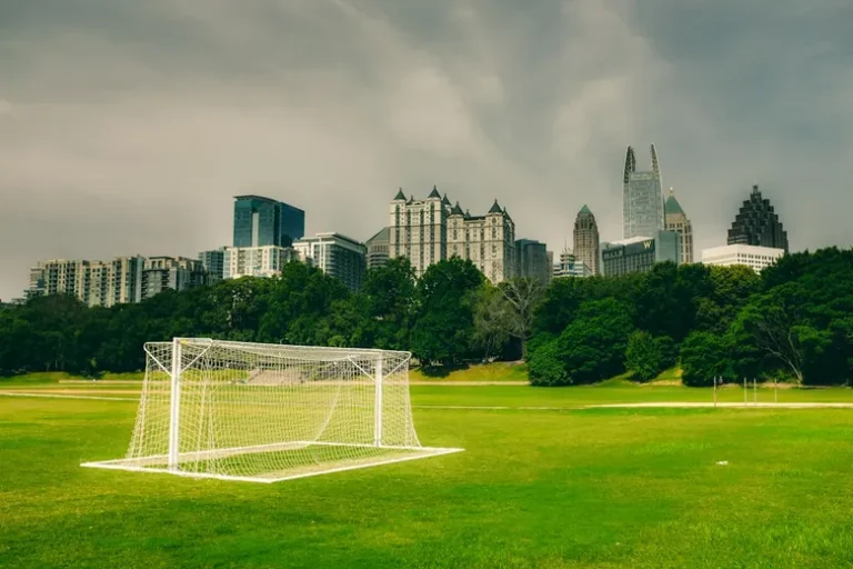 Atlanta Ga Lawn Care Outdated Website