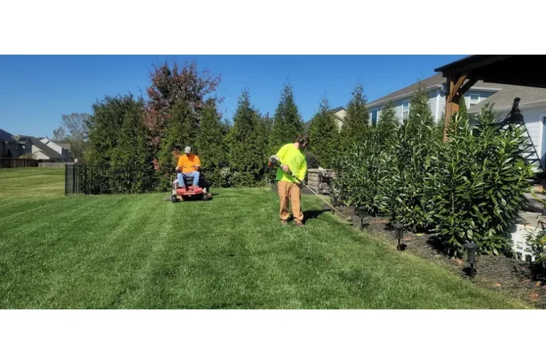 Cheap Lawn Care for Seniors