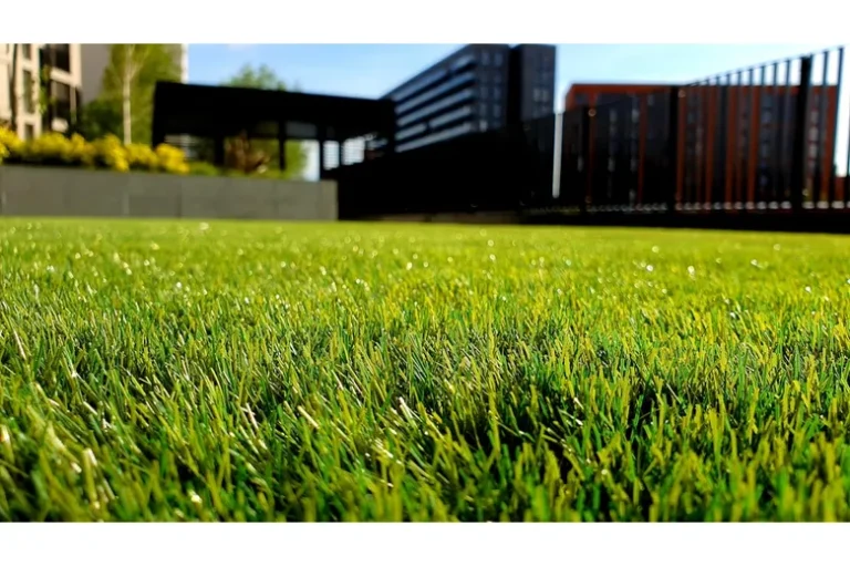 Do it Yourself Lawn Care Schedule