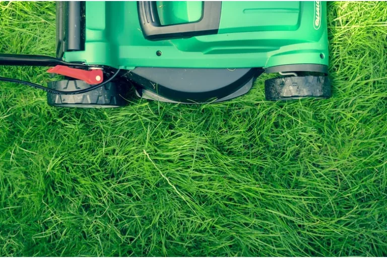 How Long Does a Lawn Mower Battery Last